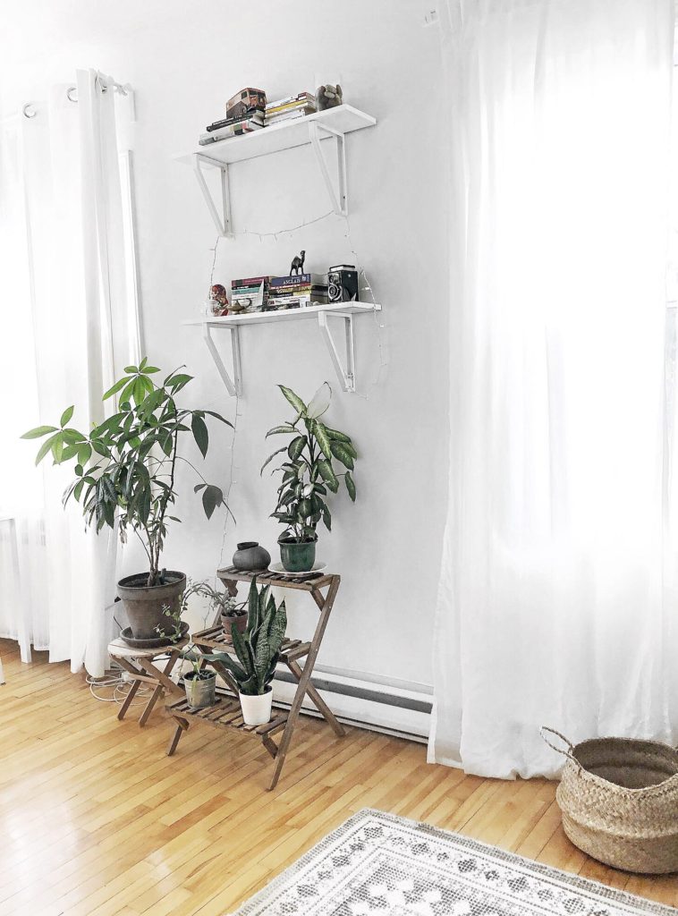 ikea, plants, shelves, lights