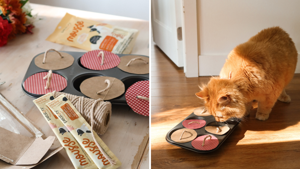 chat jeu gâterie diy